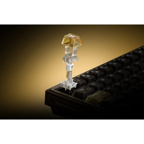 Фото Клавіатура WLMouse Huan 63 RGB Magnetic Starlight Switch (KBD-HUAN63-WHITE-G) White