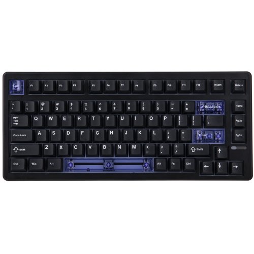 Клавіатура EPOMAKER HE80 RGB Magnetic MagneX Switch (HE80-B-M-UA) Black купити в Україні: Київ, Львів, Хмельницький, Тернопіль, Івано-Франківськ | Низька ціна, відгуки, характеристики від TELEMART фото
