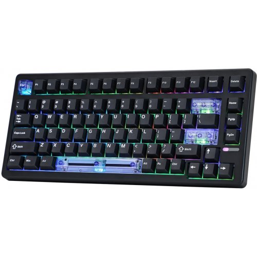 Клавіатура EPOMAKER HE80 RGB Magnetic MagneX Switch (HE80-B-M-UA) Black купити в Україні: Київ, Львів, Хмельницький, Тернопіль, Івано-Франківськ | Низька ціна, відгуки, характеристики від TELEMART фото