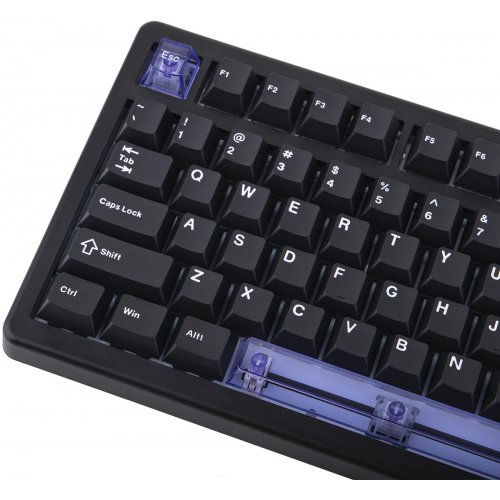 Клавіатура EPOMAKER HE80 RGB Magnetic MagneX Switch (HE80-B-M-UA) Black купити в Україні: Київ, Львів, Хмельницький, Тернопіль, Івано-Франківськ | Низька ціна, відгуки, характеристики від TELEMART фото