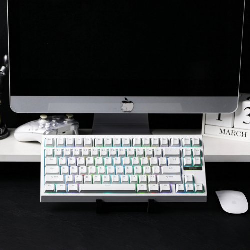 Клавіатура EPOMAKER G84 RGB Mechanical Creamy Jade Switch WIireless (G84-W-CJ-UA) White купити в Україні: Київ, Львів, Хмельницький, Тернопіль, Івано-Франківськ | Низька ціна, відгуки, характеристики від TELEMART фото