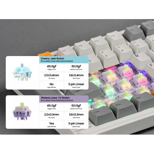 Клавіатура EPOMAKER RT85 RGB Mechanical Wisteria V2 Linear Switch Wireless (RT85-WG-WL2-UA) White/Grey купити в Україні: Київ, Львів, Хмельницький, Тернопіль, Івано-Франківськ | Низька ціна, відгуки, характеристики від TELEMART фото