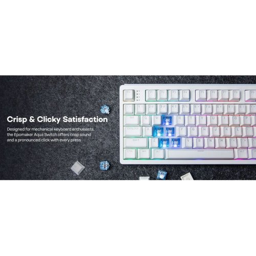 Набір перемикачів для клавіатури EPOMAKER Aqua Clicky Switch Set 5 Pin 100pcs купити в Україні: Київ, Львів, Хмельницький, Тернопіль, Івано-Франківськ | Низька ціна, відгуки, характеристики від TELEMART фото