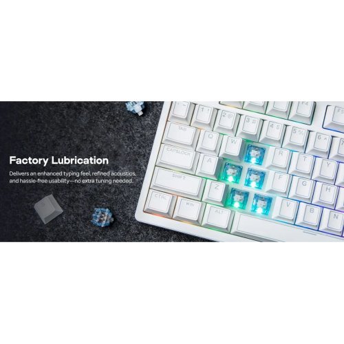 Набір перемикачів для клавіатури EPOMAKER Aqua Clicky Switch Set 5 Pin 100pcs купити в Україні: Київ, Львів, Хмельницький, Тернопіль, Івано-Франківськ | Низька ціна, відгуки, характеристики від TELEMART фото