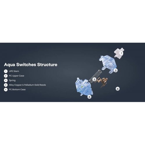 Набір перемикачів для клавіатури EPOMAKER Aqua Clicky Switch Set 5 Pin 100pcs купити в Україні: Київ, Львів, Хмельницький, Тернопіль, Івано-Франківськ | Низька ціна, відгуки, характеристики від TELEMART фото