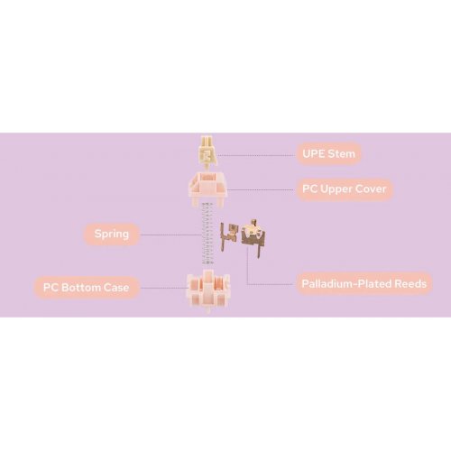 Набір перемикачів для клавіатури EPOMAKER Nude Rosa Silent Switch Set 5 Pin 35pcs купити в Україні: Київ, Львів, Хмельницький, Тернопіль, Івано-Франківськ | Низька ціна, відгуки, характеристики від TELEMART фото
