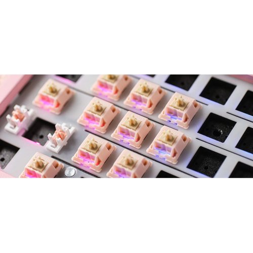 Набір перемикачів для клавіатури EPOMAKER Nude Rosa Silent Switch Set 5 Pin 35pcs купити в Україні: Київ, Львів, Хмельницький, Тернопіль, Івано-Франківськ | Низька ціна, відгуки, характеристики від TELEMART фото