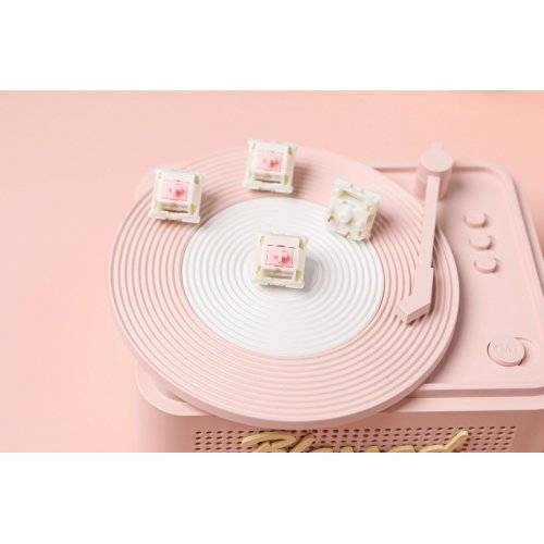 Набір перемикачів для клавіатури EPOMAKER Roseveil Linear Silent Switch Set 5 Pin 30pcs купити в Україні: Київ, Львів, Хмельницький, Тернопіль, Івано-Франківськ | Низька ціна, відгуки, характеристики від TELEMART фото
