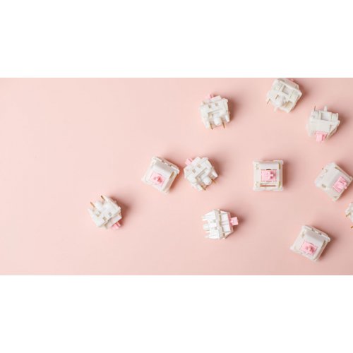 Набір перемикачів для клавіатури EPOMAKER Roseveil Linear Silent Switch Set 5 Pin 30pcs купити в Україні: Київ, Львів, Хмельницький, Тернопіль, Івано-Франківськ | Низька ціна, відгуки, характеристики від TELEMART фото