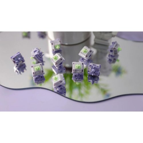 Набір перемикачів для клавіатури EPOMAKER Wisteria Linear V2 Switch Set 5 Pin 35pcs купити в Україні: Київ, Львів, Хмельницький, Тернопіль, Івано-Франківськ | Низька ціна, відгуки, характеристики від TELEMART фото