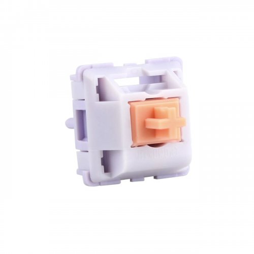Набір перемикачів для клавіатури EPOMAKER Wisteria Tactile Switch Set 5 Pin 30pcs купити в Україні: Київ, Львів, Хмельницький, Тернопіль, Івано-Франківськ | Низька ціна, відгуки, характеристики від TELEMART фото