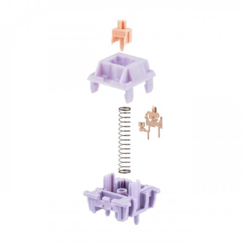 Набір перемикачів для клавіатури EPOMAKER Wisteria Tactile Switch Set 5 Pin 30pcs купити в Україні: Київ, Львів, Хмельницький, Тернопіль, Івано-Франківськ | Низька ціна, відгуки, характеристики від TELEMART фото