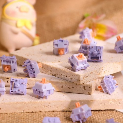 Набір перемикачів для клавіатури EPOMAKER Wisteria Tactile Switch Set 5 Pin 30pcs купити в Україні: Київ, Львів, Хмельницький, Тернопіль, Івано-Франківськ | Низька ціна, відгуки, характеристики від TELEMART фото