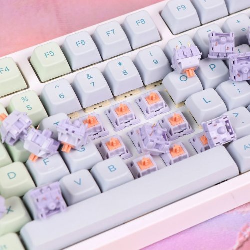 Набір перемикачів для клавіатури EPOMAKER Wisteria Tactile Switch Set 5 Pin 30pcs купити в Україні: Київ, Львів, Хмельницький, Тернопіль, Івано-Франківськ | Низька ціна, відгуки, характеристики від TELEMART фото