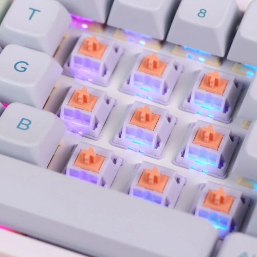 Набір перемикачів для клавіатури EPOMAKER Wisteria Tactile Switch Set 5 Pin 30pcs купити в Україні: Київ, Львів, Хмельницький, Тернопіль, Івано-Франківськ | Низька ціна, відгуки, характеристики від TELEMART фото