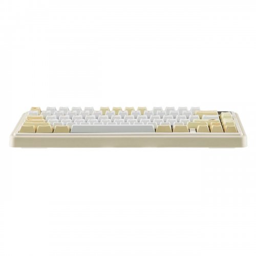 Набір кейкапів EPOMAKER Sunflower Set 133pcs Yellow купити в Україні: Київ, Львів, Хмельницький, Тернопіль, Івано-Франківськ | Низька ціна, відгуки, характеристики від TELEMART фото