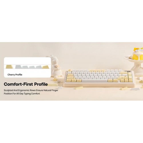 Набір кейкапів EPOMAKER Sunflower Set 133pcs Yellow купити в Україні: Київ, Львів, Хмельницький, Тернопіль, Івано-Франківськ | Низька ціна, відгуки, характеристики від TELEMART фото