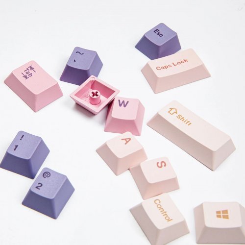 Набір кейкапів EPOMAKER Lavender Jade Set 149pcs Purple/Pink купити в Україні: Київ, Львів, Хмельницький, Тернопіль, Івано-Франківськ | Низька ціна, відгуки, характеристики від TELEMART фото