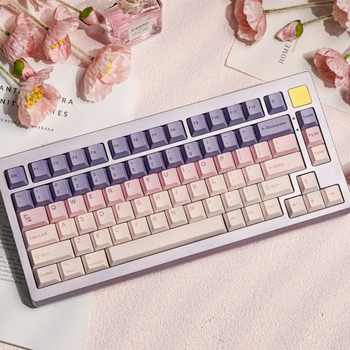 Набір кейкапів EPOMAKER Lavender Jade Set 149pcs Purple/Pink купити в Україні: Київ, Львів, Хмельницький, Тернопіль, Івано-Франківськ | Низька ціна, відгуки, характеристики від TELEMART фото