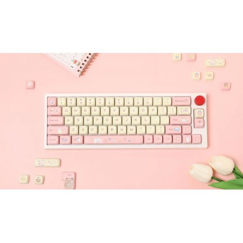 Набір кейкапів EPOMAKER Cream Bunny Set 141pcs White/Pink купити в Україні: Київ, Львів, Хмельницький, Тернопіль, Івано-Франківськ | Низька ціна, відгуки, характеристики від TELEMART фото