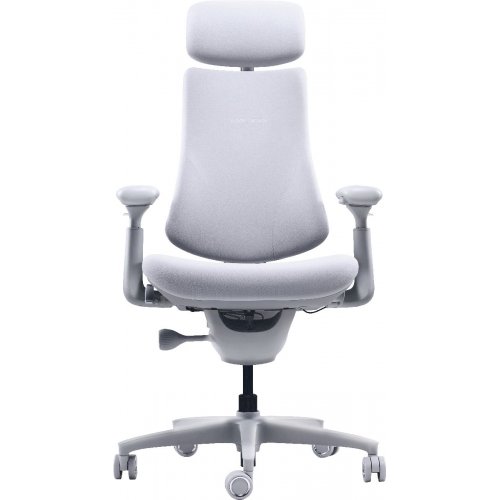 Эргономичное кресло LiberNovo Omni (CP-GW-0000015-00-00) Space Gray купить в Украине: Киев, Днепр, Харьков, Одесса  | Низкая цена, отзывы, характеристики от TELEMART фото