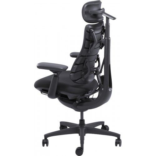 Ергономічне крісло LiberNovo Omni (CP-GW-0000015-00-01) Midnight Black купити в Україні: Київ, Львів, Хмельницький, Тернопіль, Івано-Франківськ | Низька ціна, відгуки, характеристики від TELEMART фото