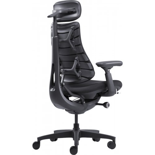 Ергономічне крісло LiberNovo Omni (CP-GW-0000015-00-01) Midnight Black купити в Україні: Київ, Львів, Хмельницький, Тернопіль, Івано-Франківськ | Низька ціна, відгуки, характеристики від TELEMART фото