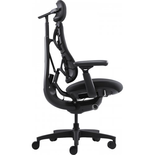 Ергономічне крісло LiberNovo Omni (CP-GW-0000015-00-01) Midnight Black купити в Україні: Київ, Львів, Хмельницький, Тернопіль, Івано-Франківськ | Низька ціна, відгуки, характеристики від TELEMART фото