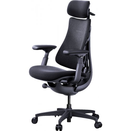 Ергономічне крісло LiberNovo Omni (CP-GW-0000015-00-01) Midnight Black купити в Україні: Київ, Львів, Хмельницький, Тернопіль, Івано-Франківськ | Низька ціна, відгуки, характеристики від TELEMART фото
