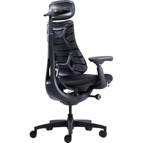Ергономічне крісло LiberNovo Omni (CP-GW-0000015-00-01) Midnight Black купити в Україні: Київ, Львів, Хмельницький, Тернопіль, Івано-Франківськ | Низька ціна, відгуки, характеристики від TELEMART фото