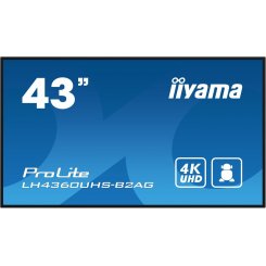 Информационная панель Iiyama 42.5
