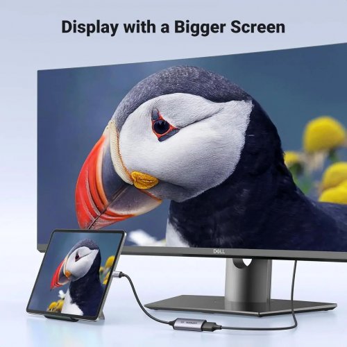 Адаптер Ugreen CM654 USB Type-C to DisplayPort 8K (15575) Grey купити в Україні: Київ, Львів, Хмельницький, Тернопіль, Івано-Франківськ | Низька ціна, відгуки, характеристики від TELEMART фото
