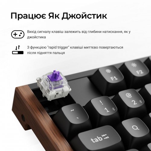 Клавиатура Keychron K10 HE Magnetic Switch Wireless (K10H-F1-UA) Black купить в Украине: Киев, Днепр, Харьков, Одесса  | Низкая цена, отзывы, характеристики от TELEMART фото