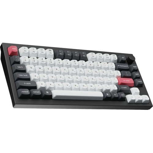Клавиатура Keychron Q1 HE Magnetic Switch Wireless (Q1H-M1-UA) Black купить в Украине: Киев, Днепр, Харьков, Одесса  | Низкая цена, отзывы, характеристики от TELEMART фото