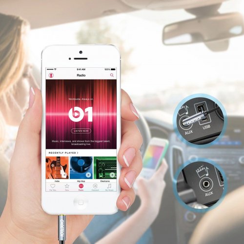 Кабель Choetech 3.5mm to 3.5mm 1.2m (AUX002) купить в Украине: Киев, Днепр, Харьков, Одесса  | Низкая цена, отзывы, характеристики от TELEMART фото