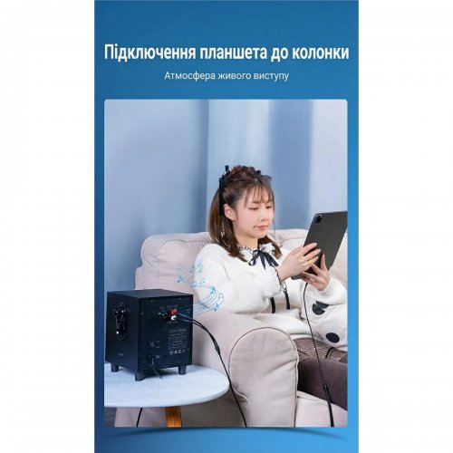 Кабель Vention USB Type-C to 2 x RCA 0.5m (BGVHD) Black купить в Украине: Киев, Днепр, Харьков, Одесса  | Низкая цена, отзывы, характеристики от TELEMART фото