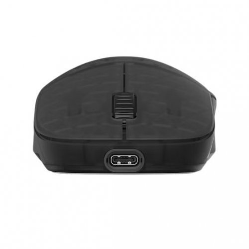 Уценка мышка Endgame Gear XM2w 4K V2 Wireless (PGW-EG-MOU-081) Dark Frost (Вскрытая упаковка, 881599) купить в Украине: Киев, Днепр, Харьков, Одесса  | Низкая цена, отзывы, характеристики от TELEMART фото