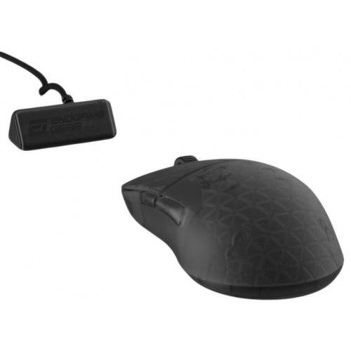 Уценка мышка Endgame Gear XM2w 4K V2 Wireless (PGW-EG-MOU-081) Dark Frost (Вскрытая упаковка, 881599) купить в Украине: Киев, Днепр, Харьков, Одесса  | Низкая цена, отзывы, характеристики от TELEMART фото