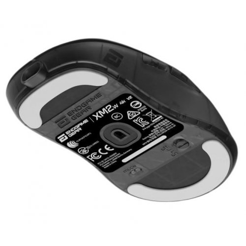 Уценка мышка Endgame Gear XM2w 4K V2 Wireless (PGW-EG-MOU-081) Dark Frost (Вскрытая упаковка, 881599) купить в Украине: Киев, Днепр, Харьков, Одесса  | Низкая цена, отзывы, характеристики от TELEMART фото