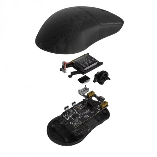 Уценка мышка Endgame Gear XM2w 4K V2 Wireless (PGW-EG-MOU-081) Dark Frost (Вскрытая упаковка, 881599) купить в Украине: Киев, Днепр, Харьков, Одесса  | Низкая цена, отзывы, характеристики от TELEMART фото