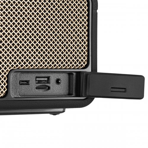 Портативная акустика 2E SoundLegend 80W (2E-BSSLWBK) Black купить в Украине: Киев, Днепр, Харьков, Одесса  | Низкая цена, отзывы, характеристики от TELEMART фото