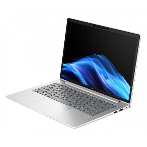 Ноутбук HP ProBook 4 G1a 14 (D4VG2ET) Silver купить в Украине: Киев, Днепр, Харьков, Одесса  | Низкая цена, отзывы, характеристики от TELEMART фото