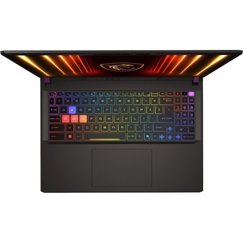 Ноутбук MSI Vector A16 HX A8WHG-067XUA (9S7-15MM72-067) Cosmos Gray купити в Україні: Київ, Львів, Хмельницький, Тернопіль, Івано-Франківськ | Низька ціна, відгуки, характеристики від TELEMART фото