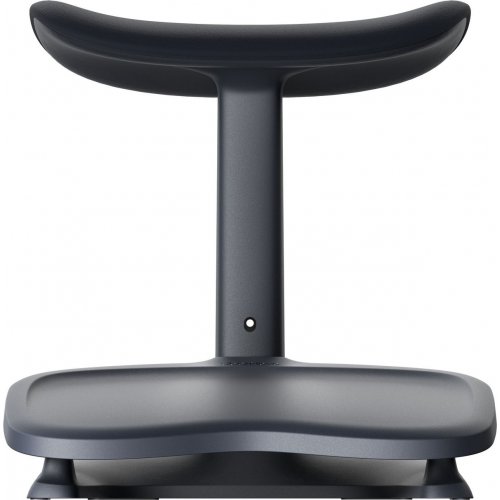 Підставка для ніг LiberNovo StepSync Footrest (CP-GW-0000002-00-01) Midnight Black купити в Україні: Київ, Львів, Хмельницький, Тернопіль, Івано-Франківськ | Низька ціна, відгуки, характеристики від TELEMART фото