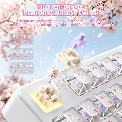 Клавіатура Attack Shark X87 Ultra RGB Meg Shark Switches Wireless (AS-6979033730236-IO) Iced Orange купити в Україні: Київ, Львів, Хмельницький, Тернопіль, Івано-Франківськ | Низька ціна, відгуки, характеристики від TELEMART фото