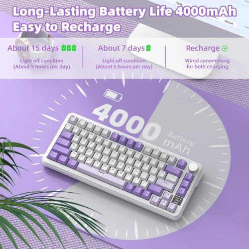 Клавіатура Attack Shark X85 Pro RGB Linear Blueberry Switch Wireless (AS-6972792470320-L-UA) Lavender купити в Україні: Київ, Львів, Хмельницький, Тернопіль, Івано-Франківськ | Низька ціна, відгуки, характеристики від TELEMART фото