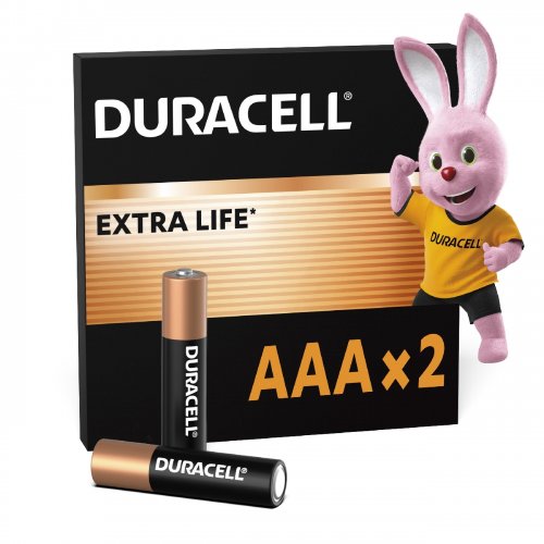 Батарейки Duracell AAA (LR03) Professional 2 шт. (5008213) купити в Україні | Telemart фото