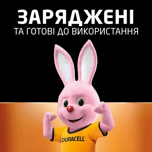 Аккумулятор Duracell AA (HR6) Ni-MH 1300mAh 2 шт. (5017767/5007321) купить в Украине: Киев, Днепр, Харьков, Одесса  | Низкая цена, отзывы, характеристики от TELEMART фото