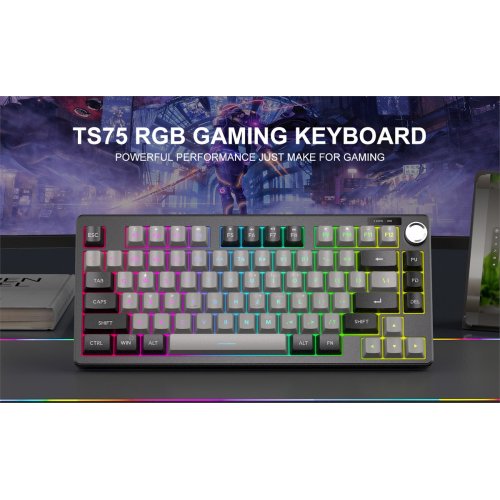 Клавіатура MageGee TS75 RGB (6971969729230-UA) Black/Grey купити в Україні: Київ, Львів, Хмельницький, Тернопіль, Івано-Франківськ | Низька ціна, відгуки, характеристики від TELEMART фото