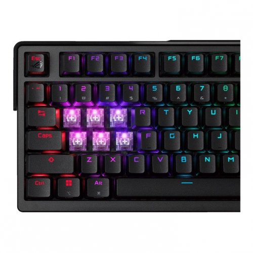 Уцінка клавіатура Asus ROG Azoth Extreme NX Snow Switch (90MP03MA-BKUA01) Black (Розкрита упаковка, 890813) купити в Україні: Київ, Львів, Хмельницький, Тернопіль, Івано-Франківськ | Низька ціна, відгуки, характеристики від TELEMART фото